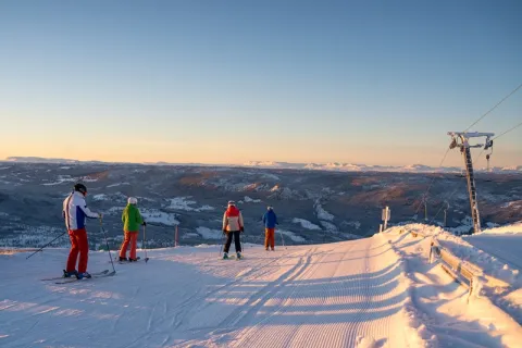 Nesfjellet
