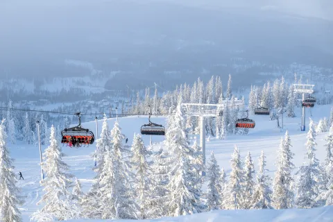 Nesfjellet