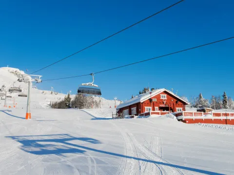 Skeikampen
