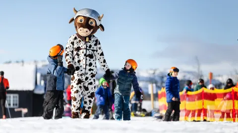 Skeikampen