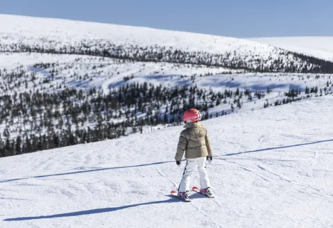 Stöten i Sälen