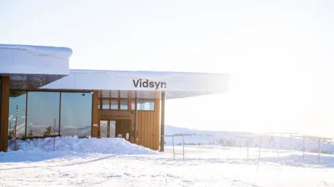 Vidsyn