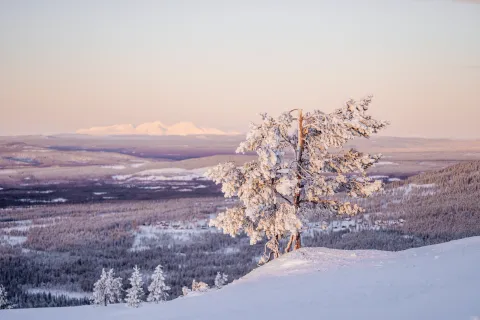Idre Fjäll